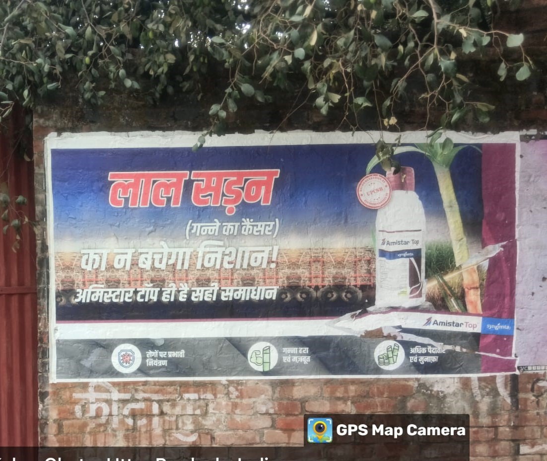 Development Project